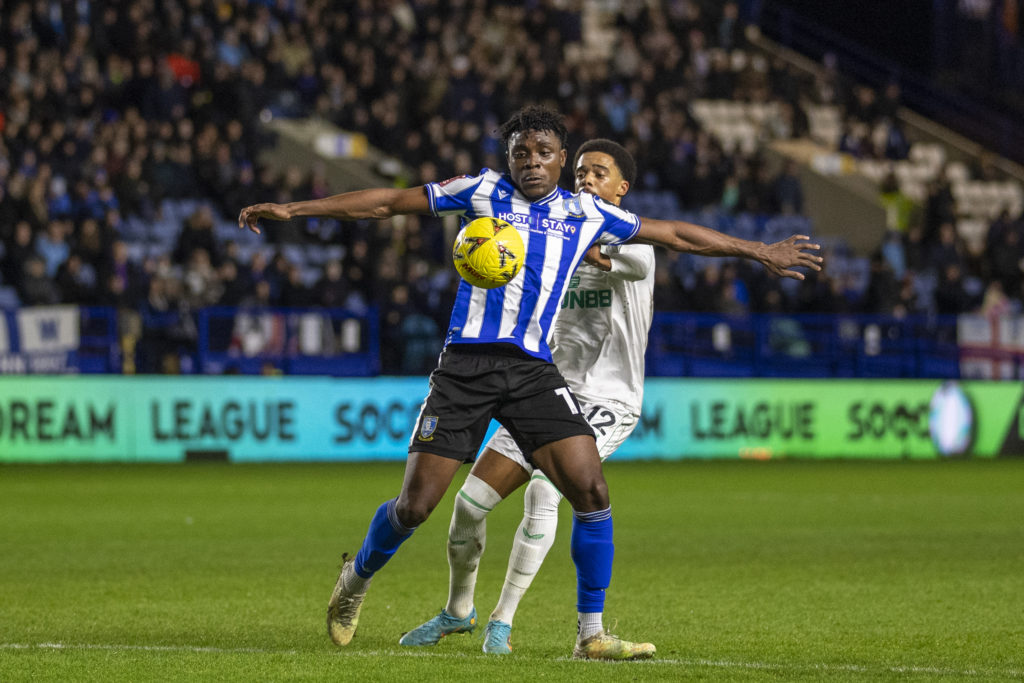 Sheffield Wednesday v Newcastle United: Emirates FA Cup Third Round