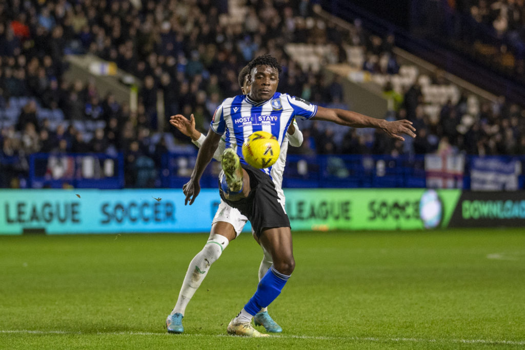 Sheffield Wednesday v Newcastle United: Emirates FA Cup Third Round