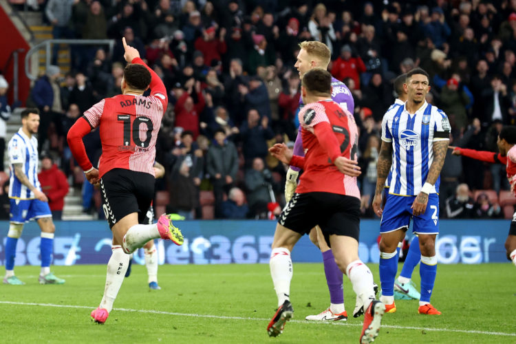 Photo by Matt Watson/Southampton FC via Getty Images