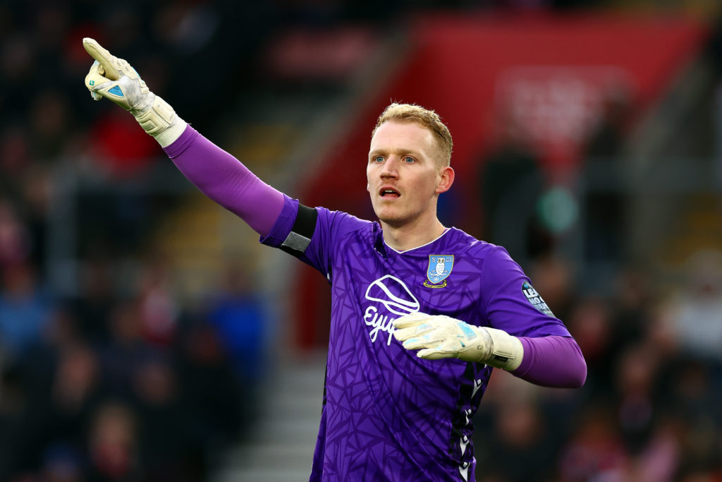 Southampton FC v Sheffield Wednesday - Sky Bet Championship