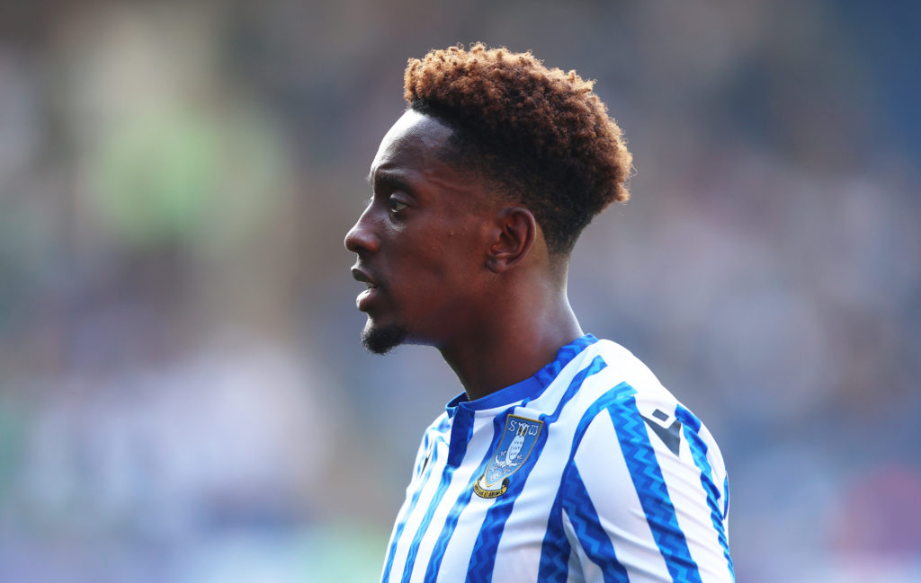 Sheffield Wednesday FC v Plymouth Argyle FC - Sky Bet Championship
