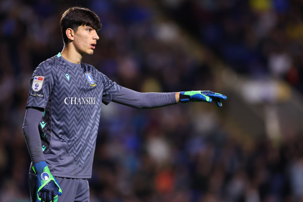 Sheffield Wednesday FC v Leeds United FC - Sky Bet Championship